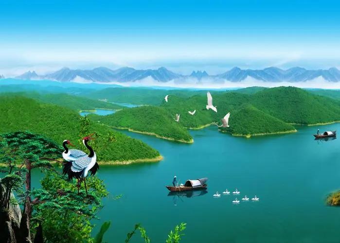 全自动高标准